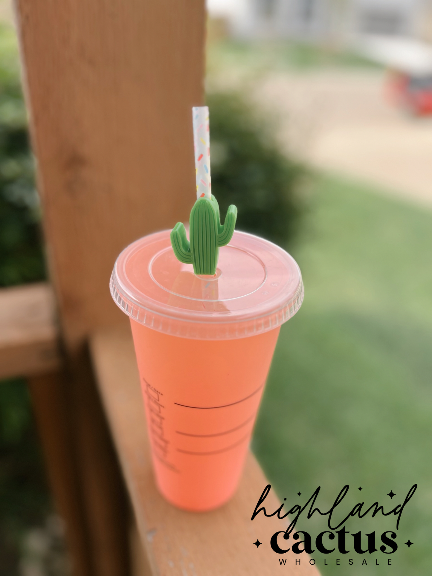 Cactus Straw Topper